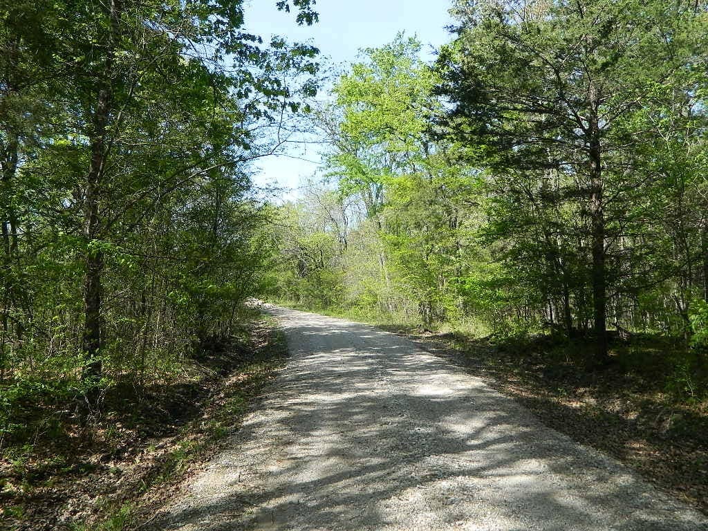 40 acre timberland in Red River County, Texas