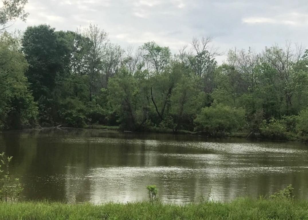 451.98 acre timberland in Bowie County, Texas