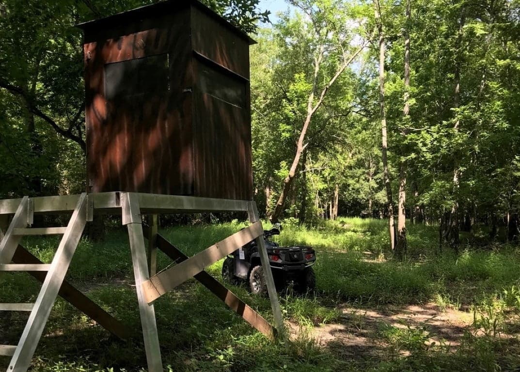 Overview of 66.56 acre ranch in Red River County, Texas