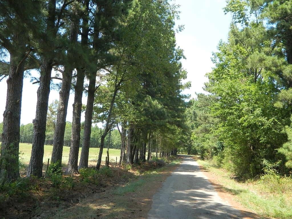 165 acre hunting land in Red River County, Texas