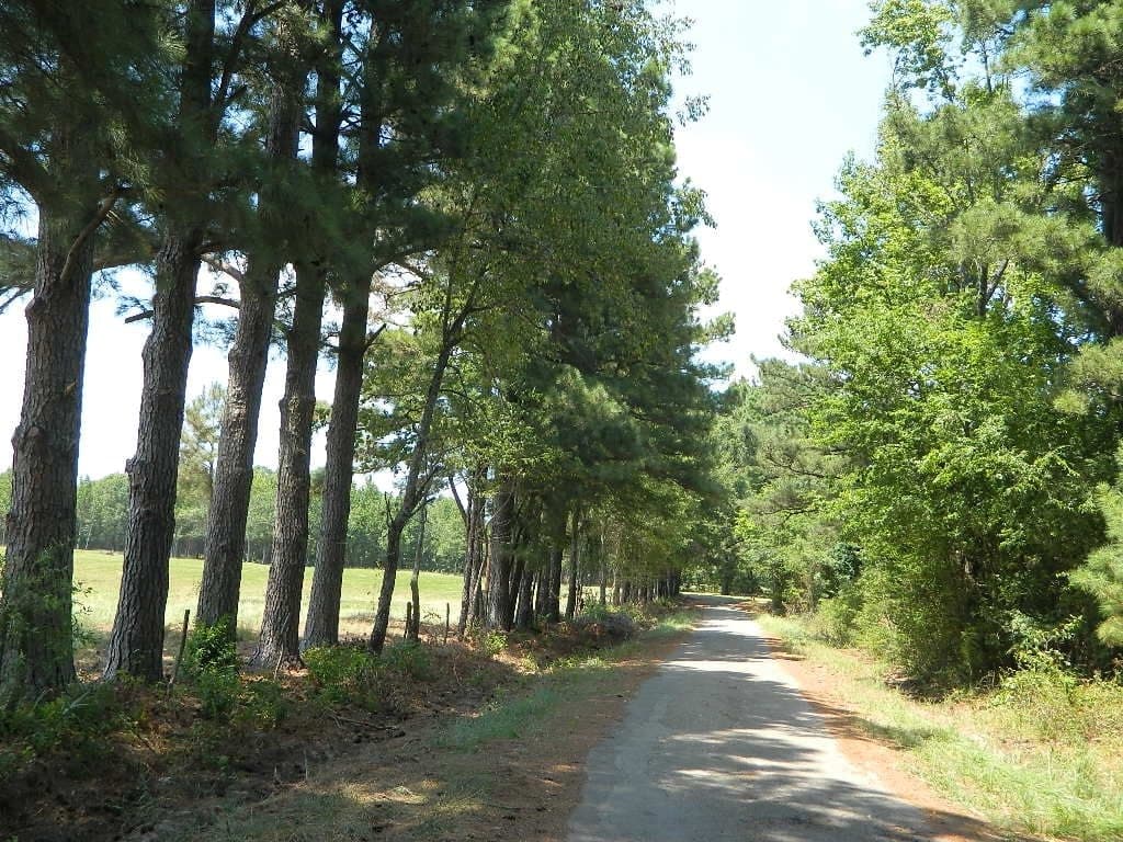 Overview of 165 acre hunting land in Red River County, Texas