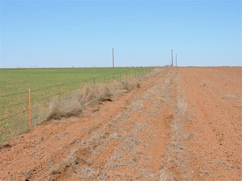 96 acre farm in Wilbarger County, Texas