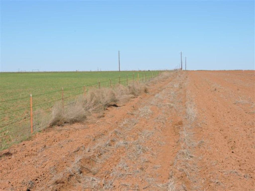 Overview of 96 acre farm in Wilbarger County, Texas
