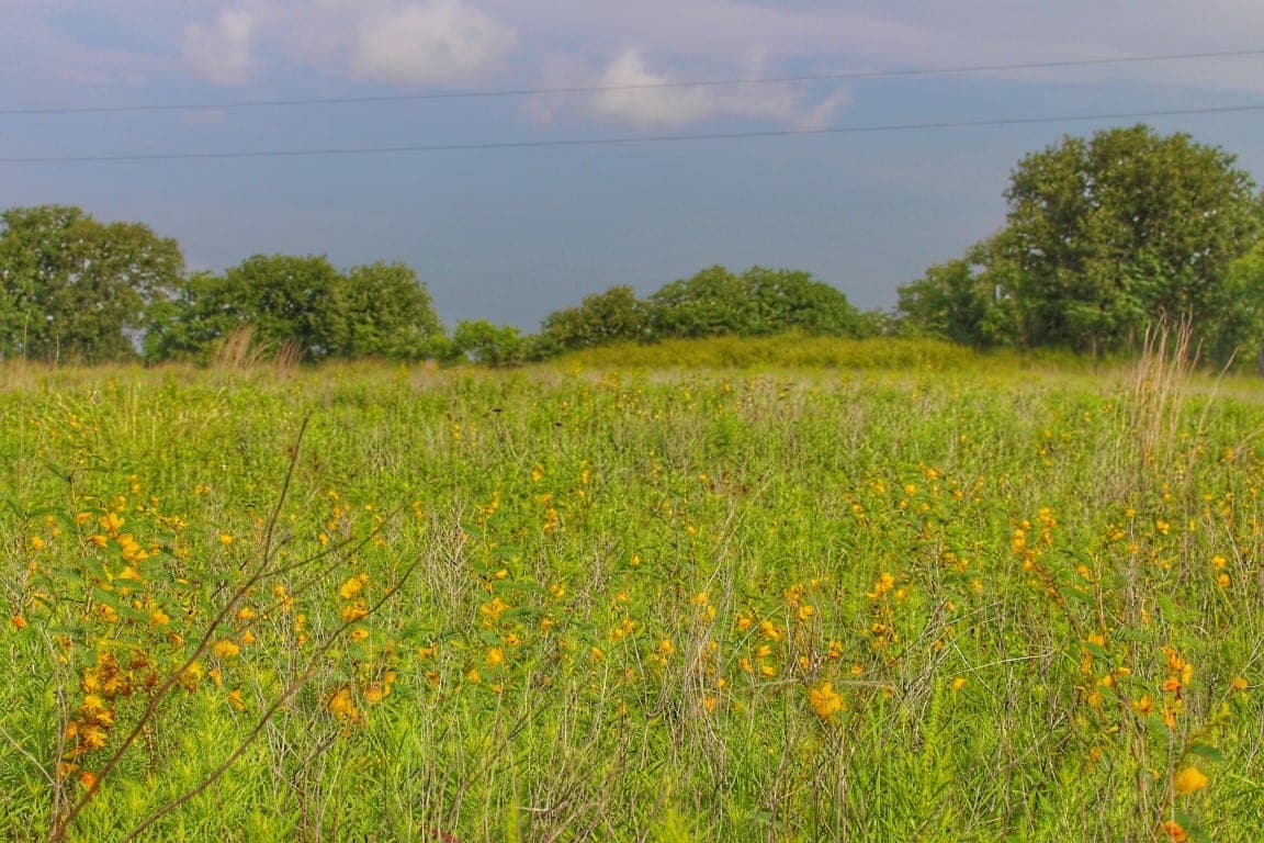 Overview of 149 acre hunting land in Montague County, Texas