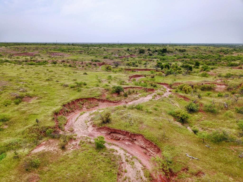 210 acre hunting land in Wichita County, Texas