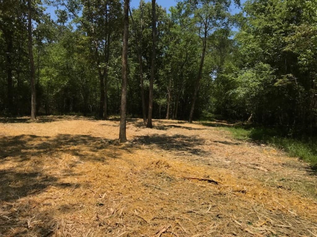Overview of 62.7 acre hunting land in Red River County, Texas