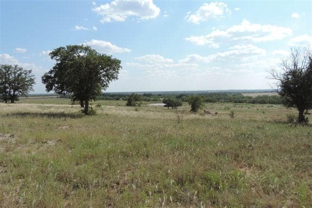 332 acre hunting land in Young County, Texas