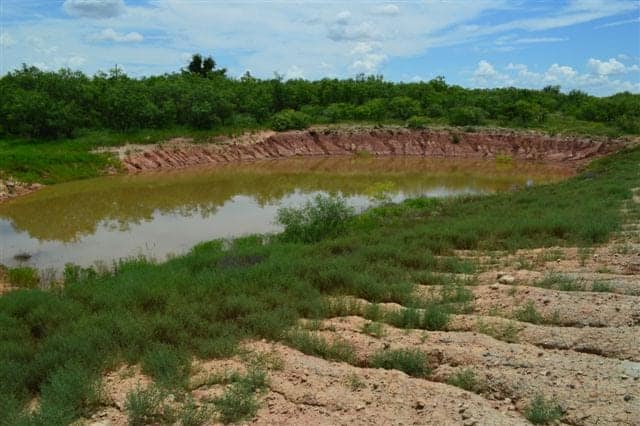 137 acre hunting land in Baylor County, Texas