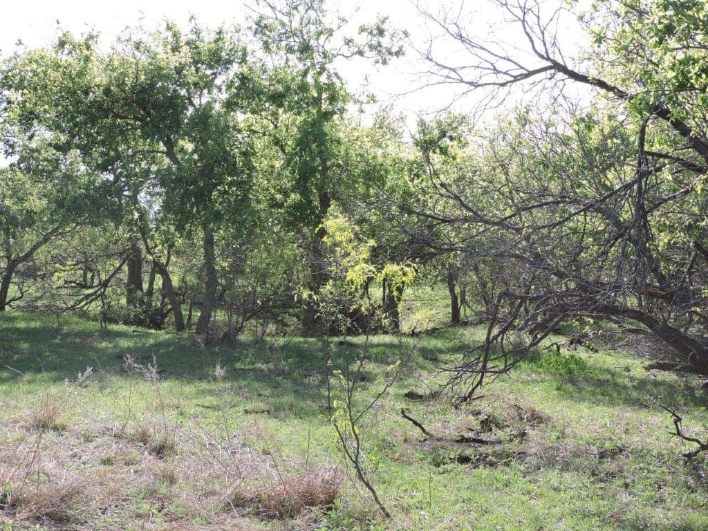 335 acre hunting land in Hardeman County, Texas