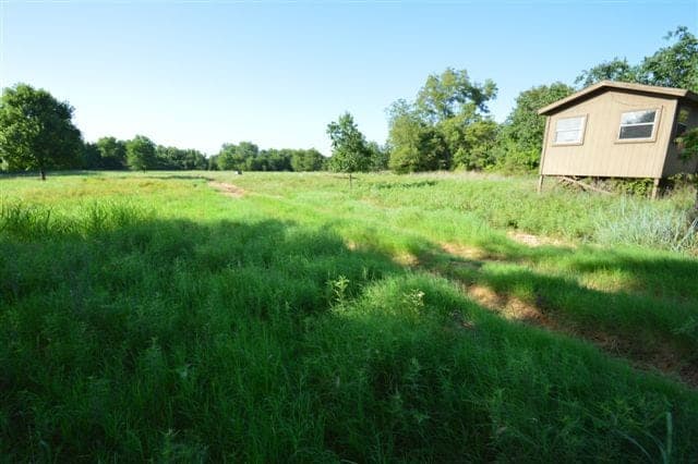 Overview of 160 acre hunting land in Montague County, Texas