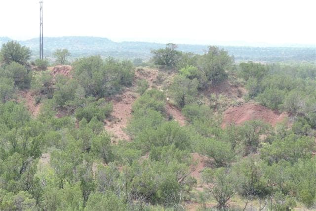 Overview of 640 acre hunting land in Baylor County, Texas