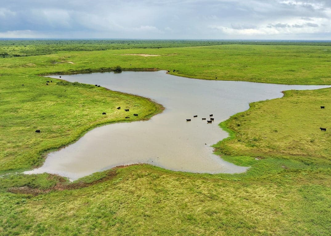Overview of 687 acre hunting land in Clay County, Texas