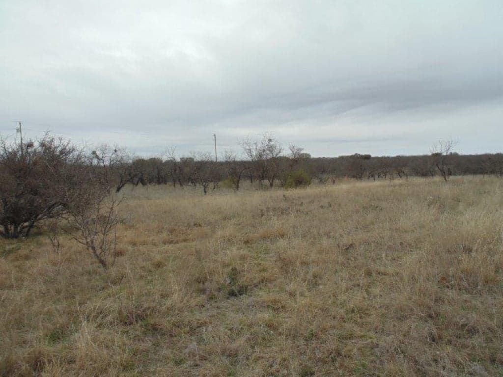 Overview of 1.68 acre ranch in Coleman County, Texas