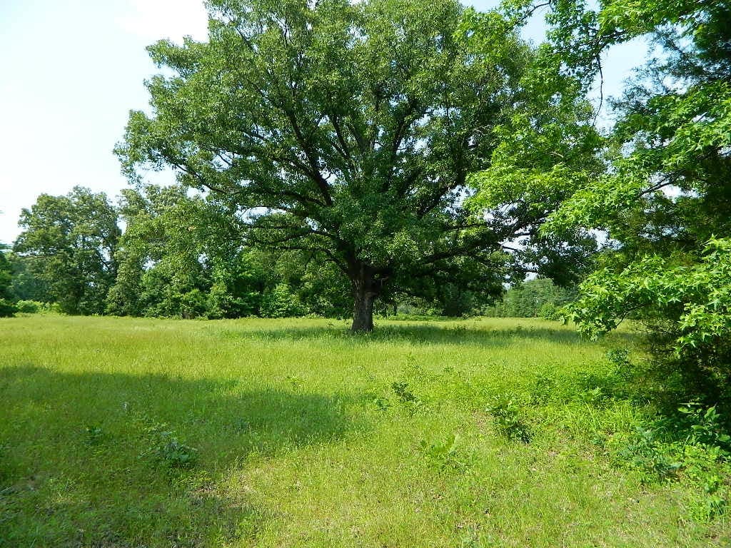22 acre ranch in Titus County, Texas
