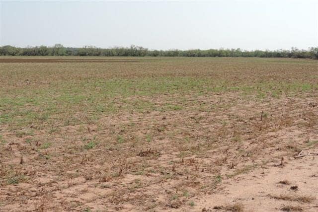 1,815 acre hunting land in Baylor County, Texas