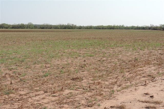 Overview of 1,815 acre hunting land in Baylor County, Texas