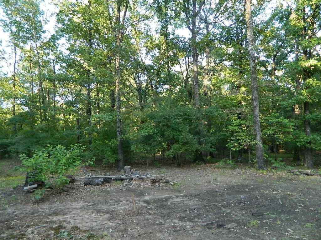 Overview of 36.9 acre hunting land in Red River County, Texas