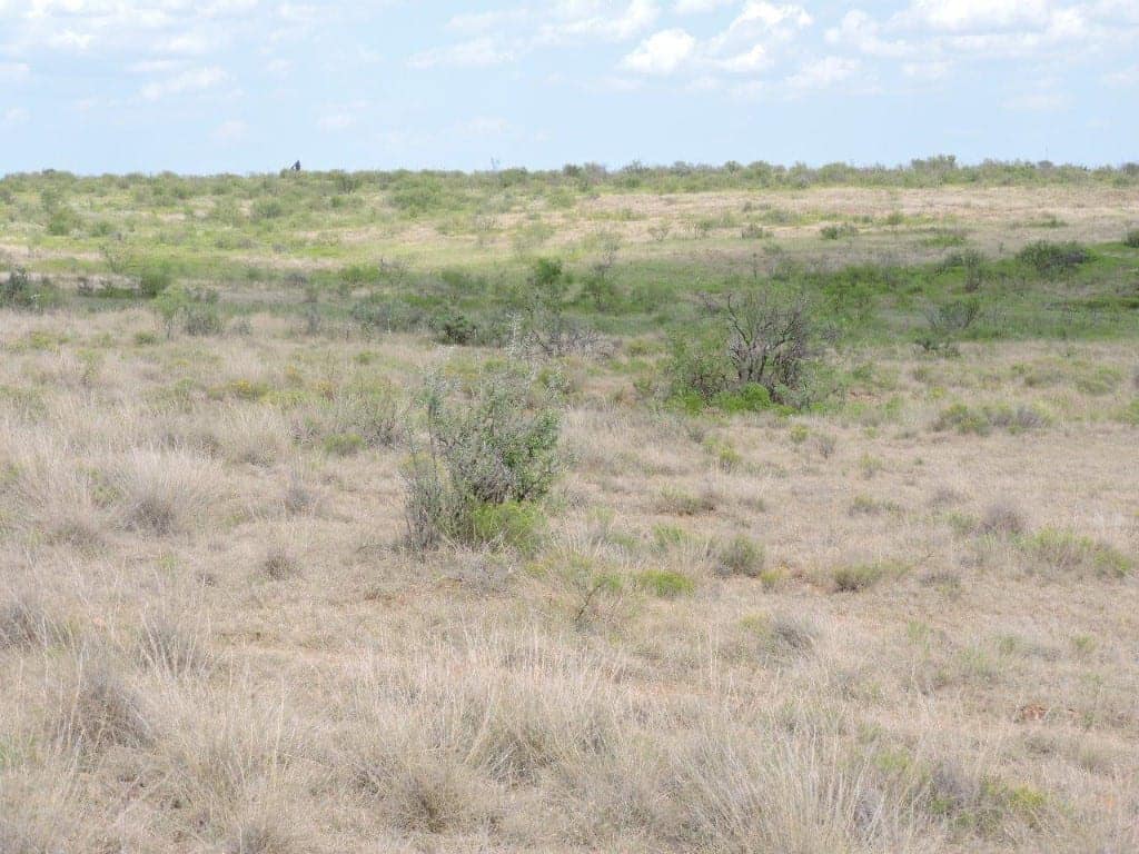 1,060 acre hunting land in Wichita County, Texas