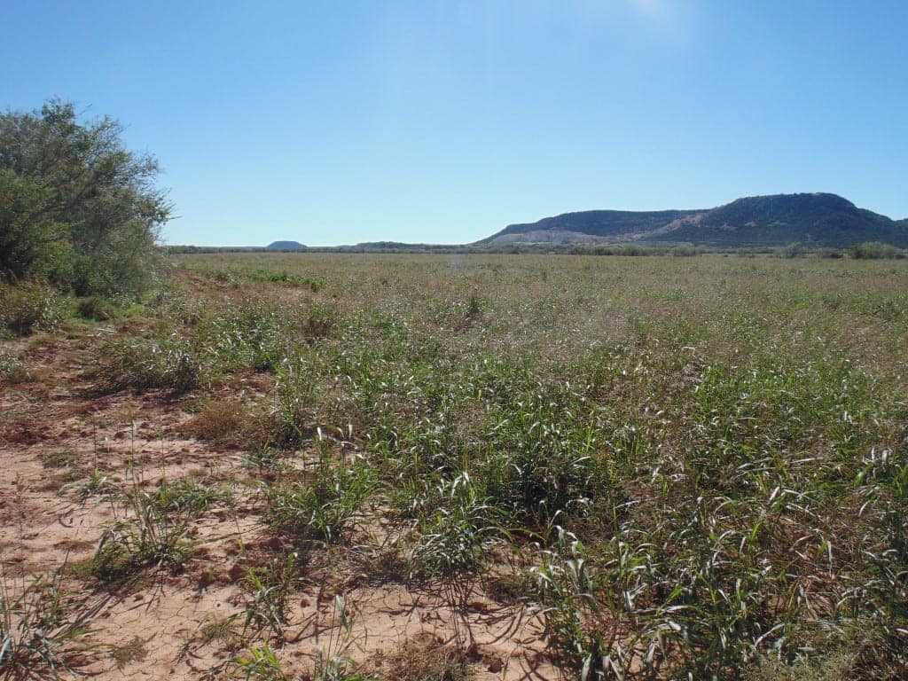 96 acre ranch in Taylor County, Texas
