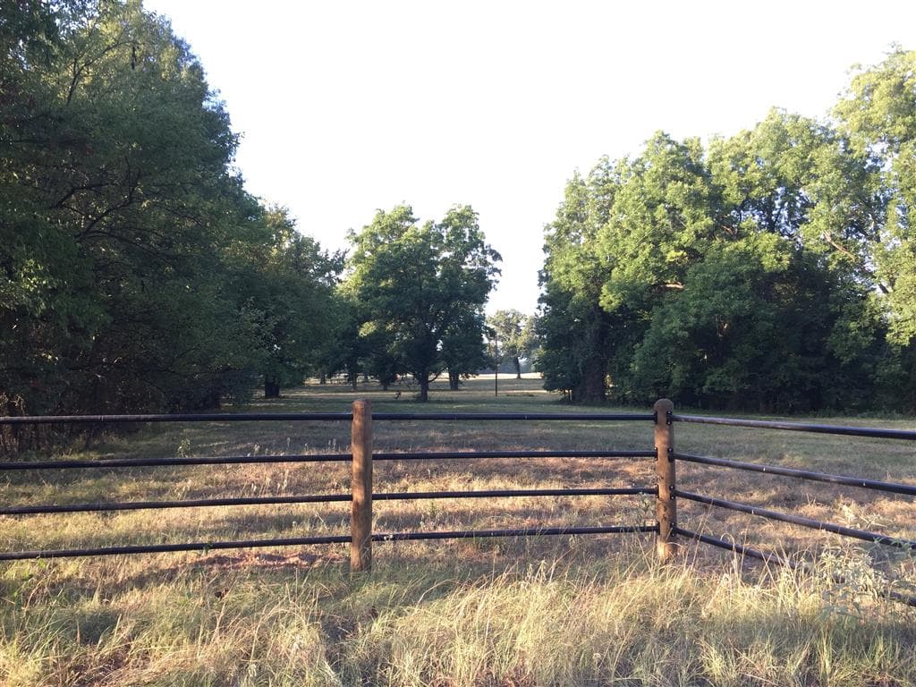 Overview of 907 acre hunting land in Red River County, Texas