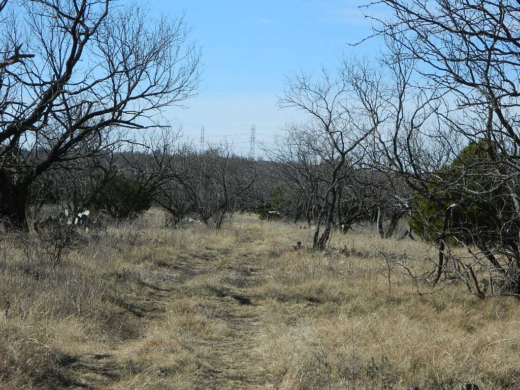 188 acre hunting land in Jack County, Texas