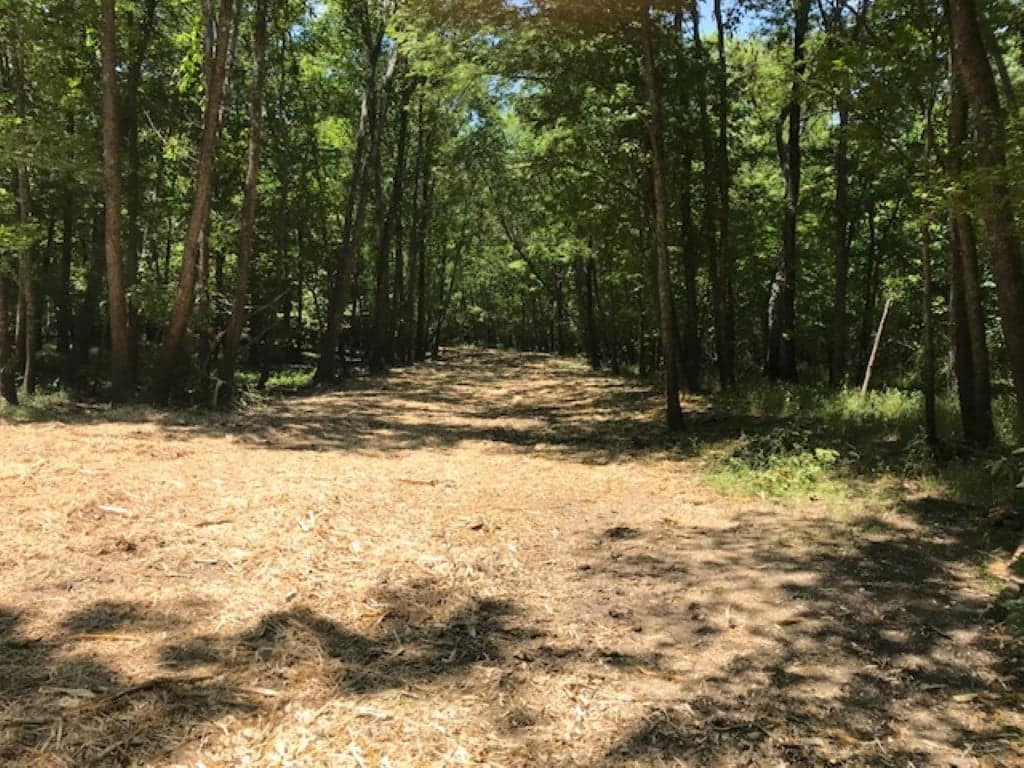 62.5 acre hunting land in Red River County, Texas