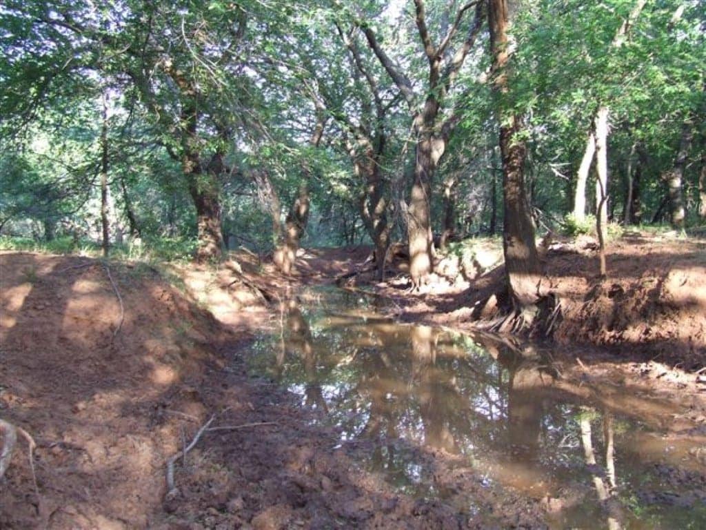 116.7 acre hunting land in Baylor County, Texas