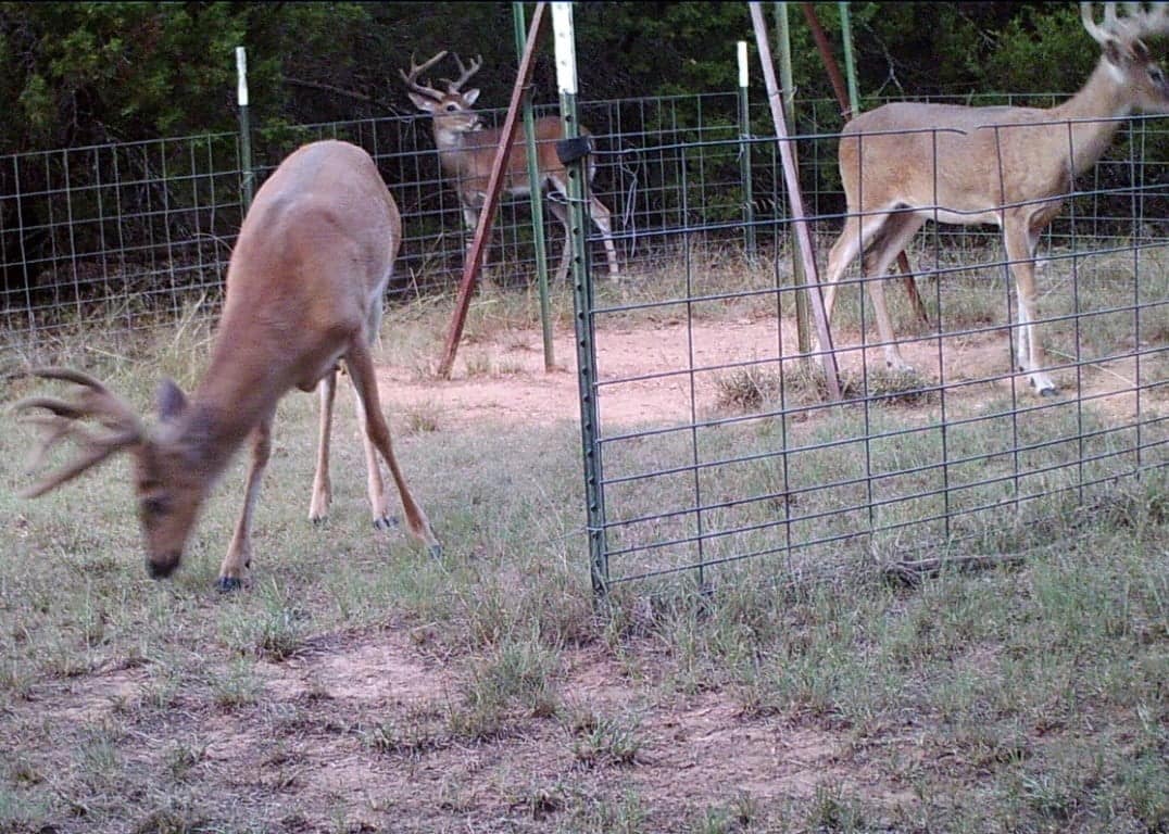 32 acre ranch in Young County, Texas