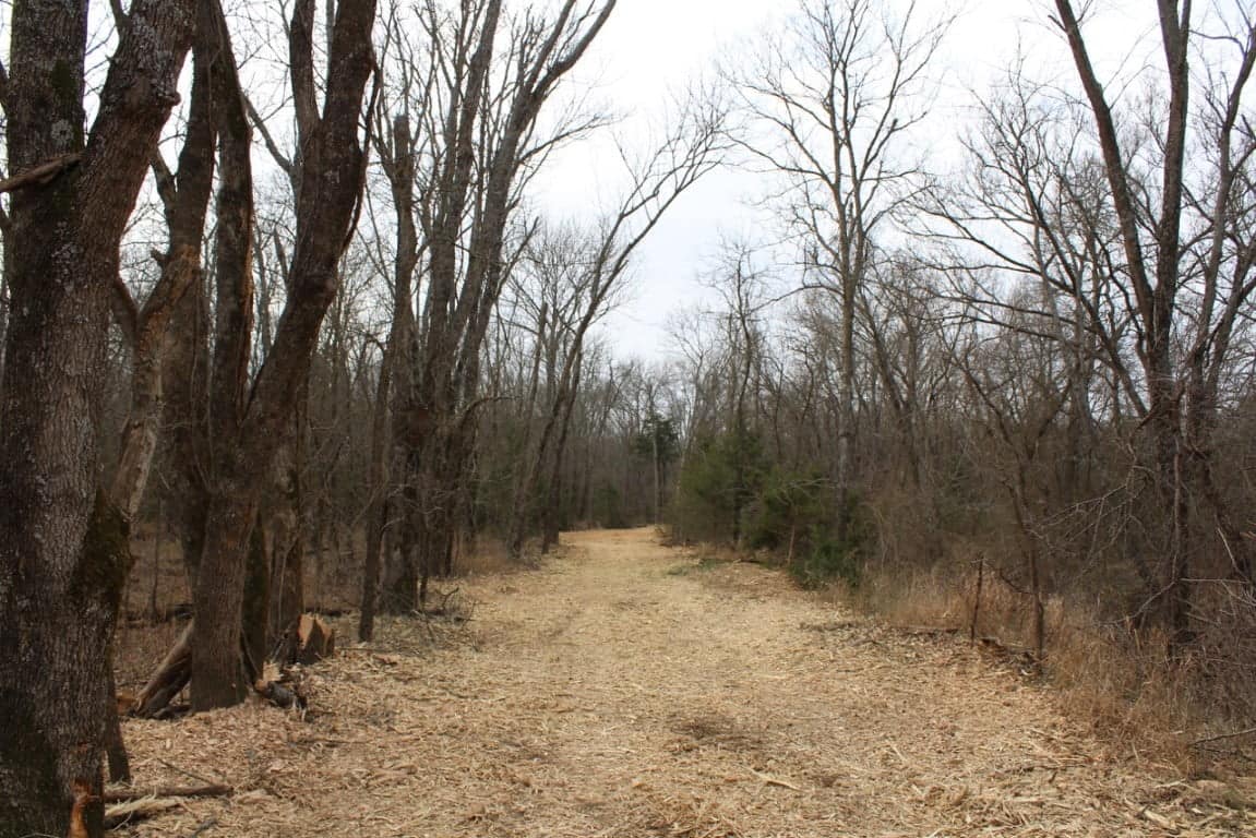 27.26 acre timberland in Lamar County, Texas