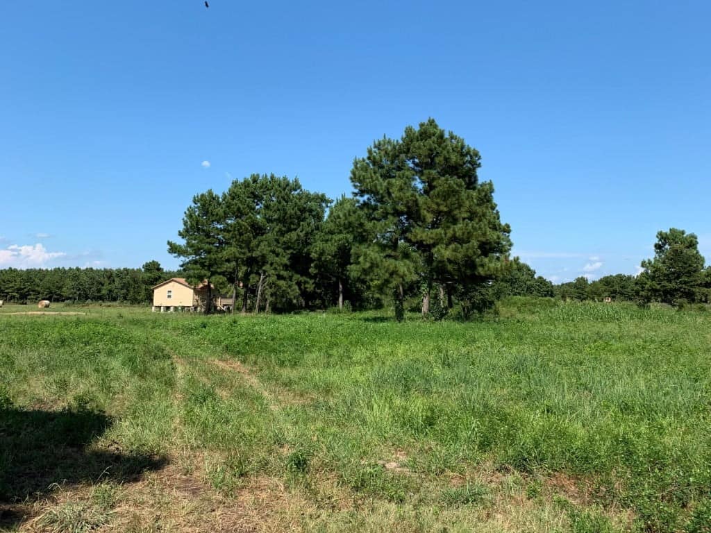 40 acre ranch in Red River County, Texas