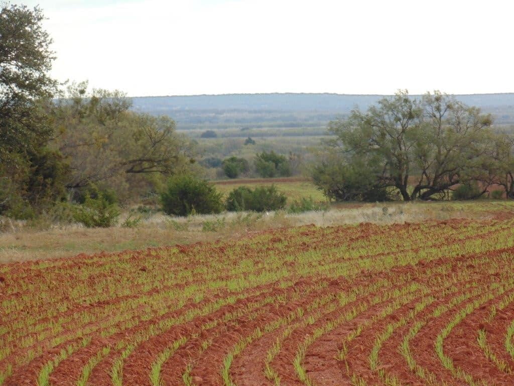 30 acre ranch in Taylor County, Texas