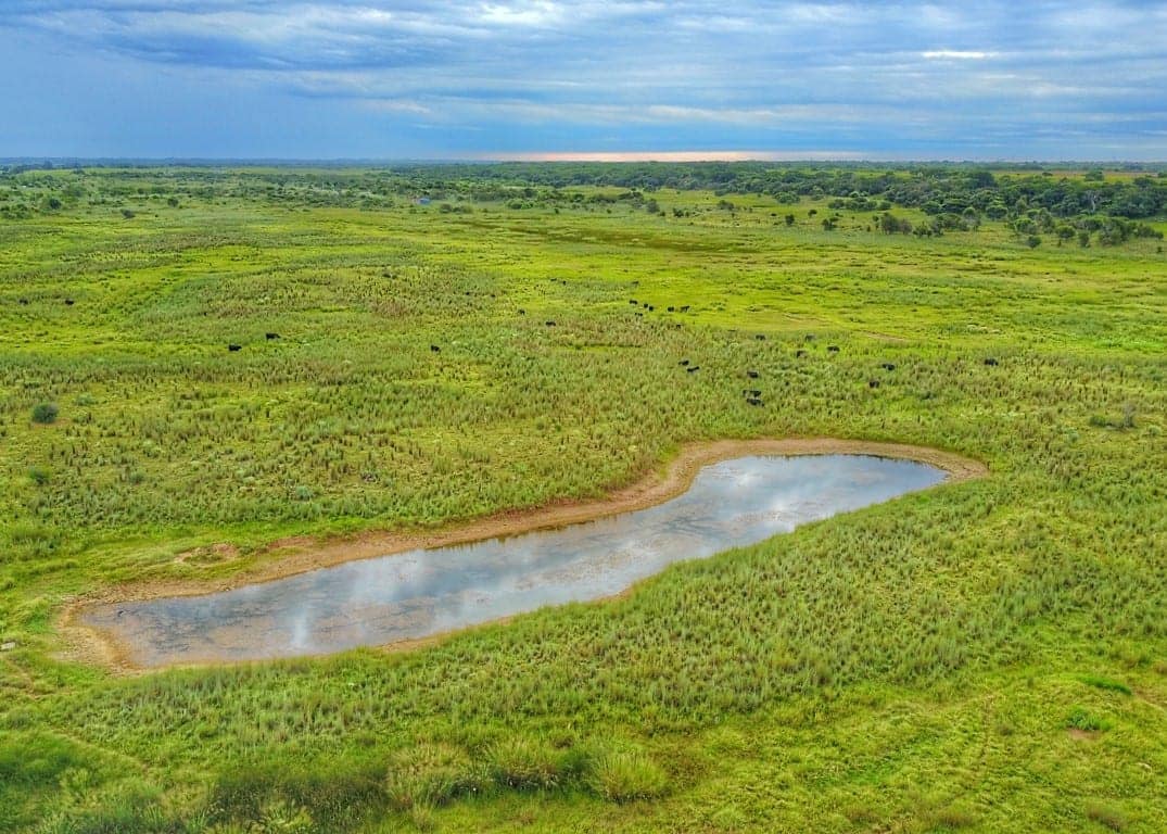 251 acre hunting land in Wichita County, Texas