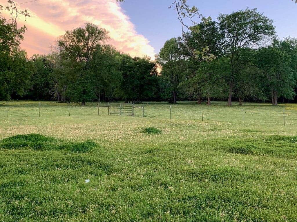 Overview of 1.06 acre ranch in Franklin County, Texas