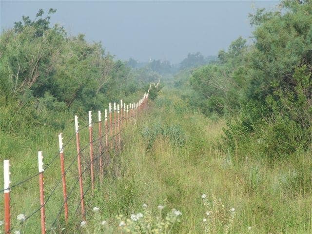75 acre hunting land in Wilbarger County, Texas