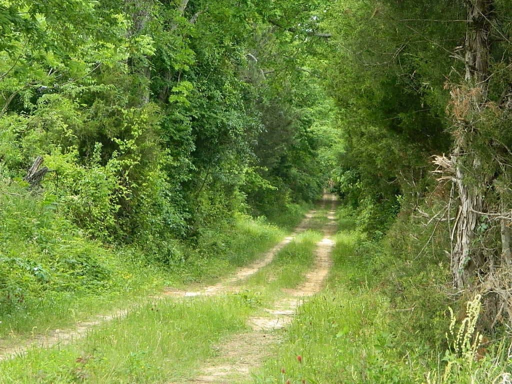 Overview of 25 acre farm in Bowie County, Texas