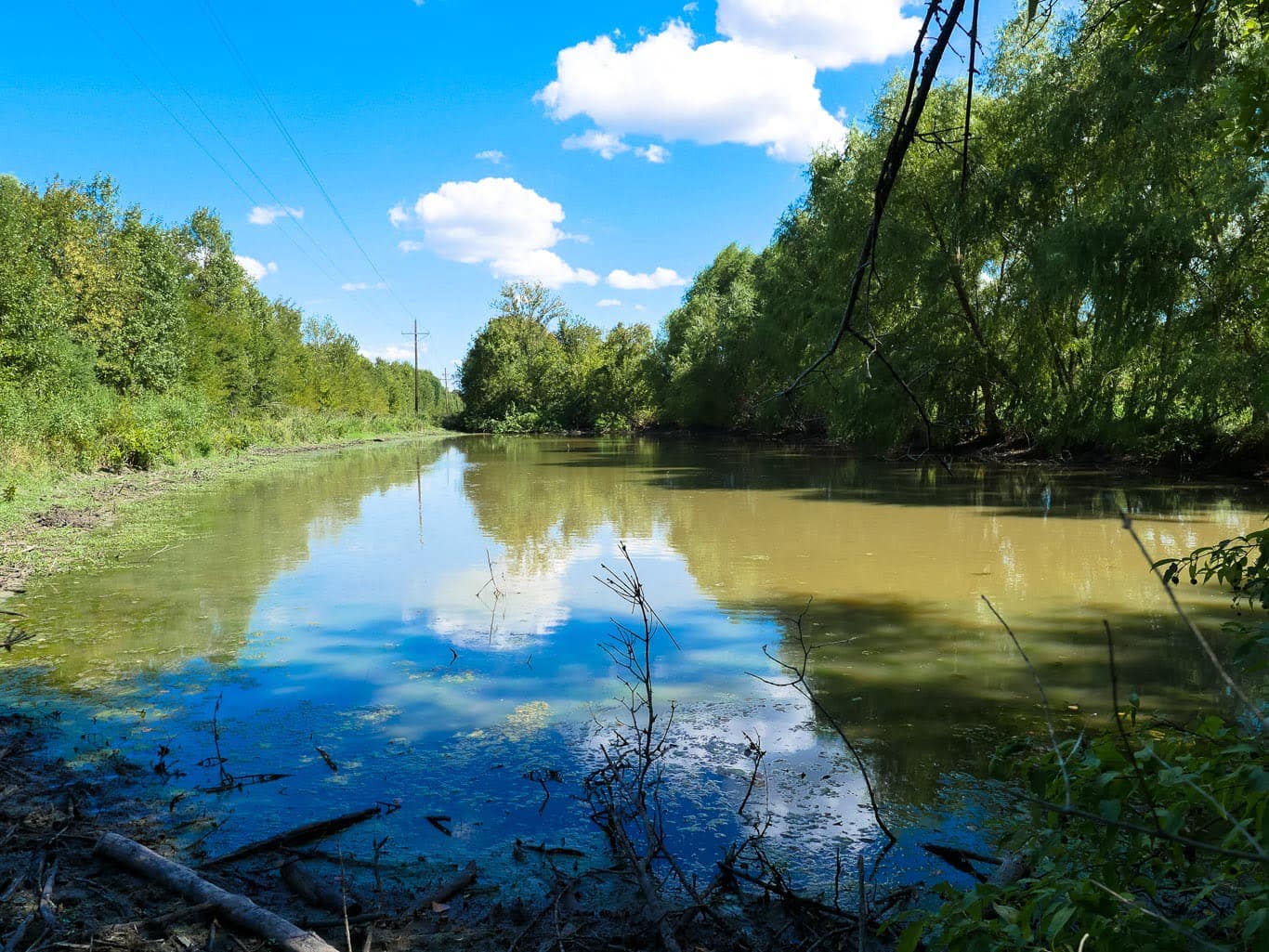 55.7 acre hunting land in Red River County, Texas