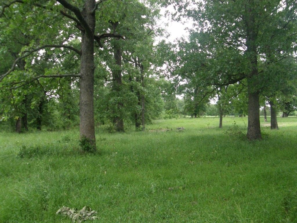 327.29 acre hunting land in Red River County, Texas