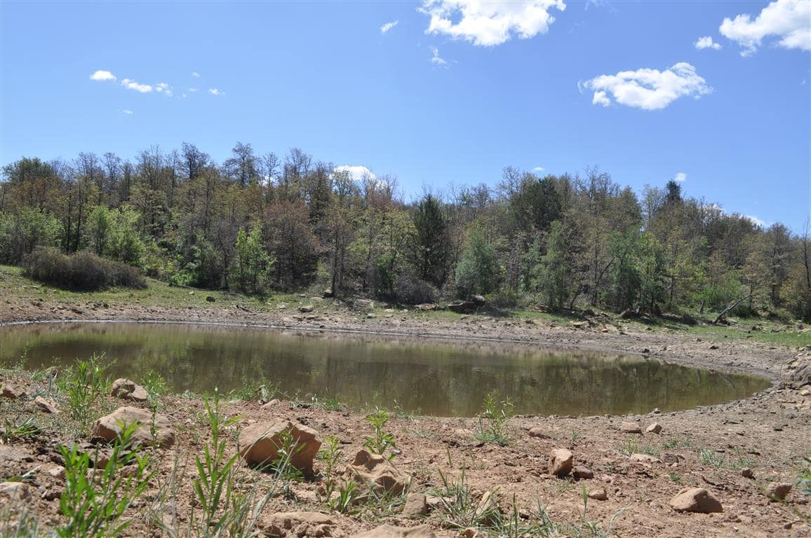 413 acre hunting land in Jack County, Texas