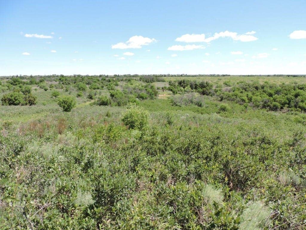 260 acre hunting land in King County, Texas