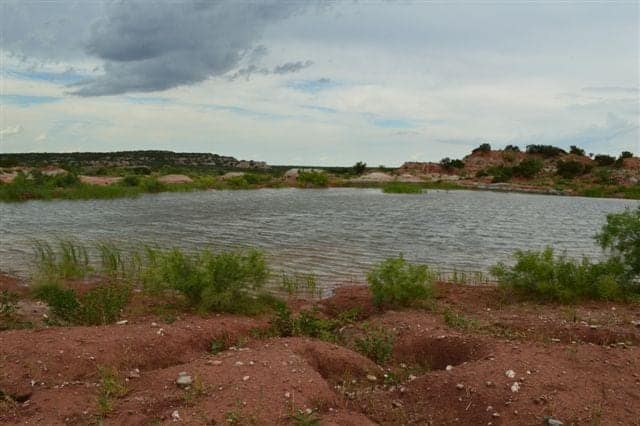 1,640 acre hunting land in King County, Texas