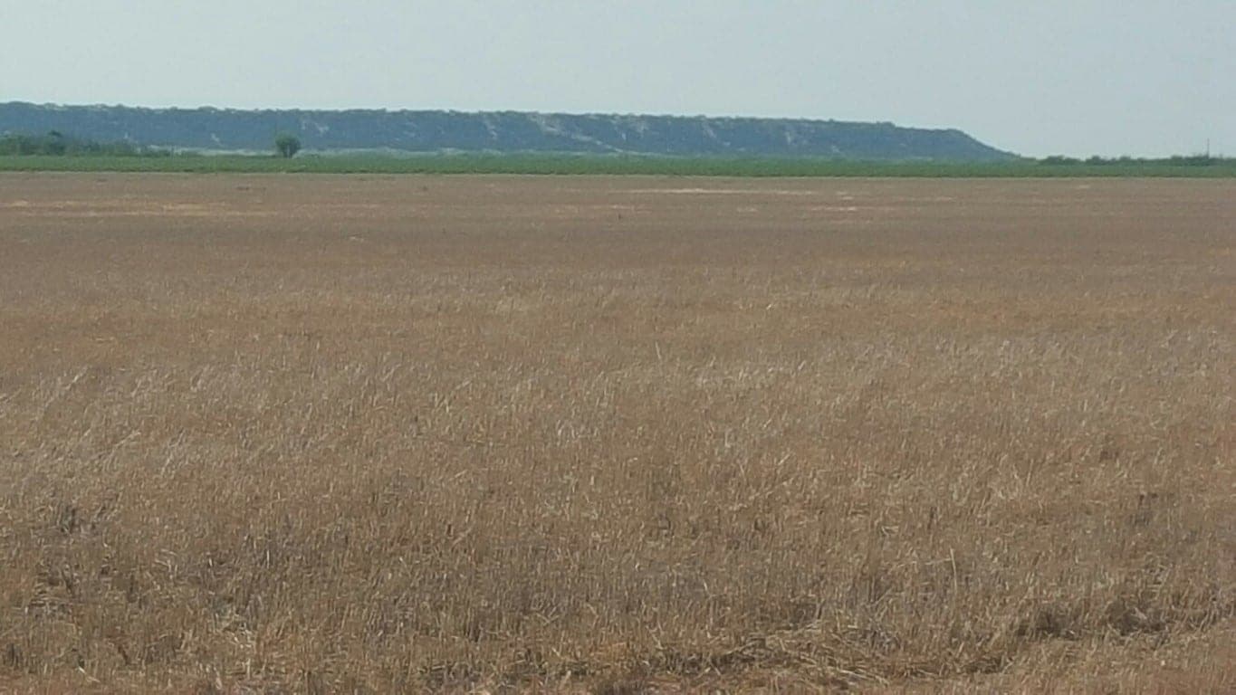 Overview of 184 acre farm in Morris County, Texas