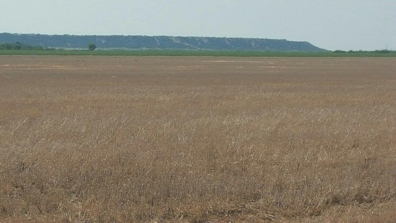 184 acre farm in Morris County, Texas