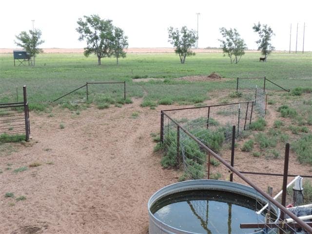 98 acre farm in Wilbarger County, Texas
