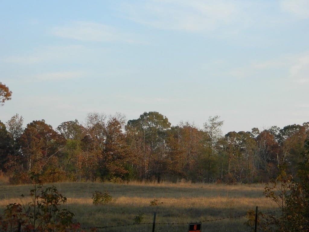 11.27 acre hunting land in Titus County, Texas