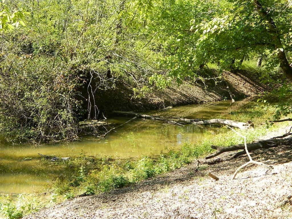 60 acre hunting land in Red River County, Texas