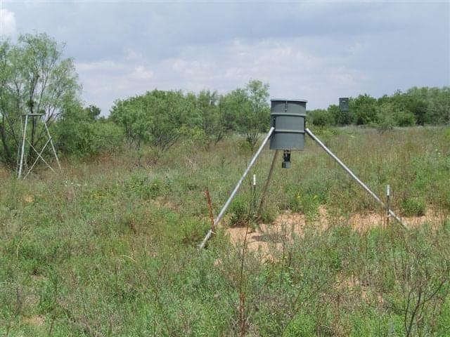 Haskell County Texas land with native grass pasture