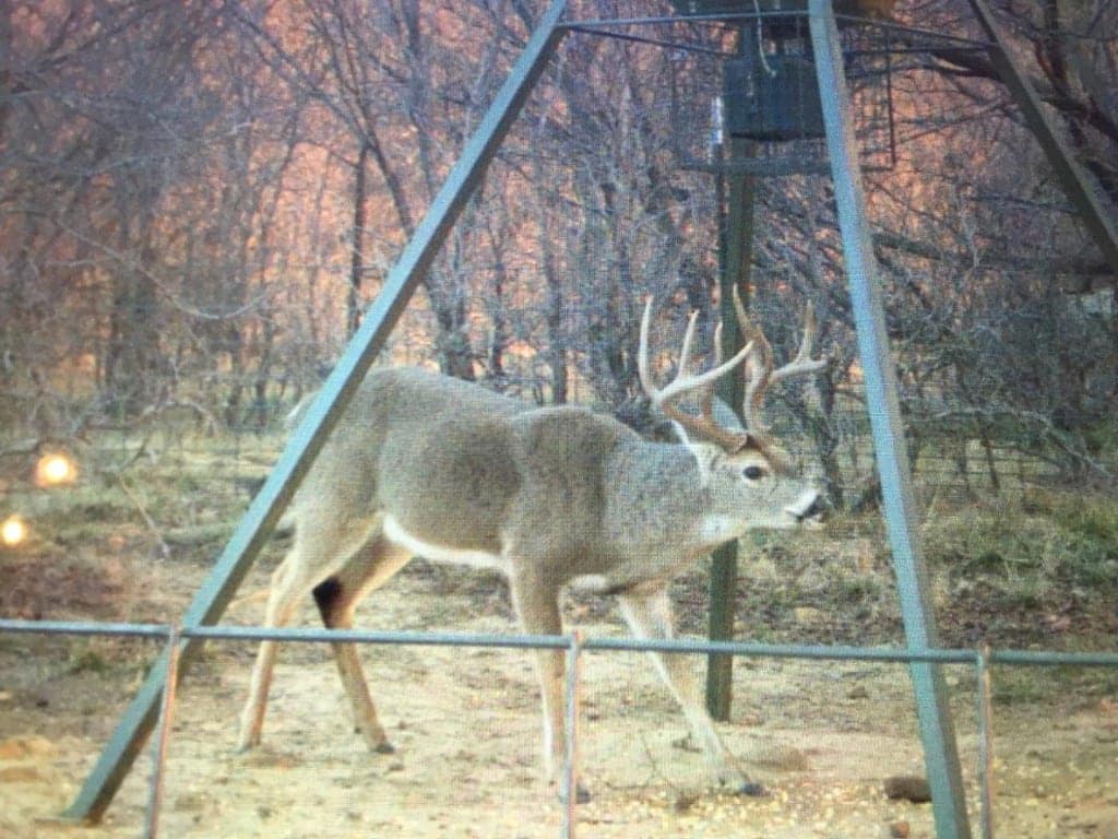 123 acre hunting land in Jack County, Texas