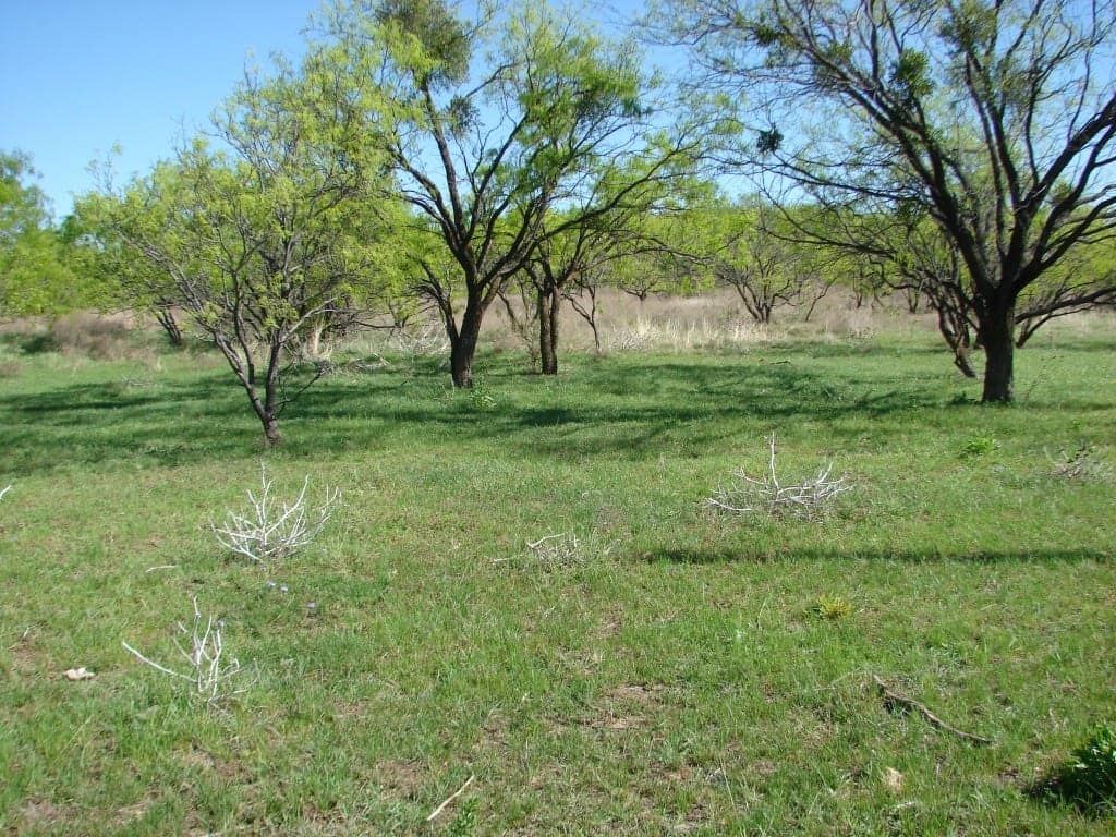 198 acre farm in Eastland County, Texas