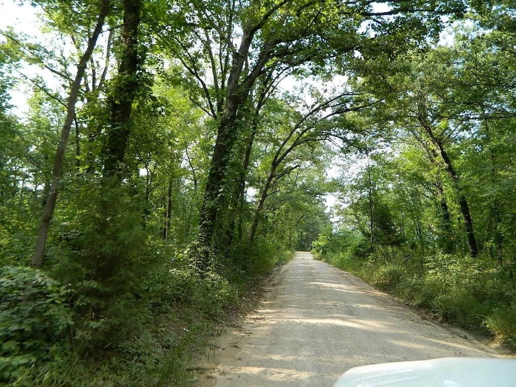 37.54 acre hunting land in Red River County, Texas
