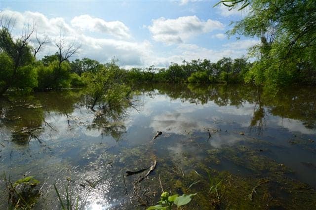 481 acre hunting land in Throckmorton County, Texas